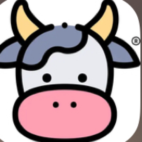 小牛加速器